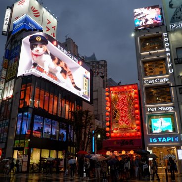 Chat 3D géant de Shinjuku en chef policier à la tombée de la nuit
