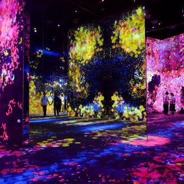 teamLab Borderless (Azabudai Hills, Tokyo), Flowers and People, Cannot be Controlled but Live Together