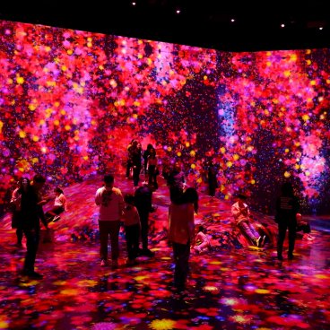 teamLab Borderless (Azabudai Hills, Tokyo), Universe of Water Particles on a Rock where People Gather 2