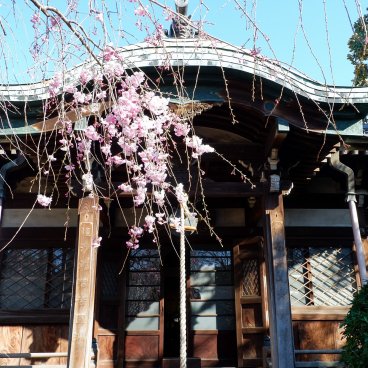 Cimetière de Yanaka (Tokyo), pavillon du temple Tenno-ji