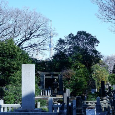 Cimetière de Yanaka (Tokyo), vue sur la Tokyo Skytree entre les tombes