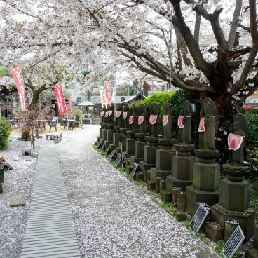 Cimetière de Yanaka (Tokyo), statues Jizo du temple Jomyo-in