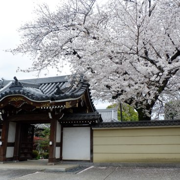 Cimetière de Yanaka (Tokyo), entrée du temple Daisen-ji