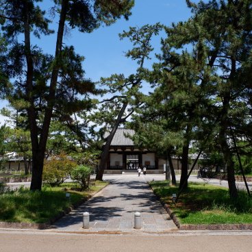 Horyu-ji (Ikaruga), Dernière portion de l'allée de pins menant à la porte Nandaimon