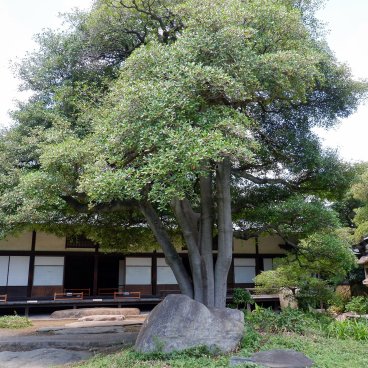 Kyu Iwasaki-tei Teien (Tokyo), vue sur le pavillon japonais