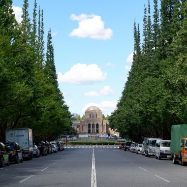 Meiji Jingu Gaien (Tokyo), avenue Icho Namiki avec ginkgo biloba verts en été