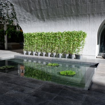 Shinjuku Ruriko-in Byakurenge-do (Tokyo), plan d'eau aux lotus et entrée du temple bouddhiste