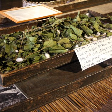 Résidence Wada (Shirakawa-go), exposition sur la sériciculture 