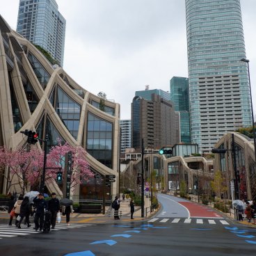 Azabudai Hills (Tokyo), entrée du complexe et cerisiers Kawazu-zakura en fleurs 3