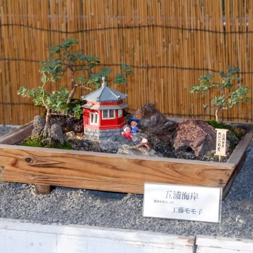 Meiji-jingu (Tokyo), exposition de bonsaï de chrysanthème pour Kiku Matsuri 2