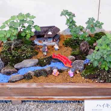 Meiji-jingu (Tokyo), exposition de bonsaï de chrysanthème pour Kiku Matsuri 3