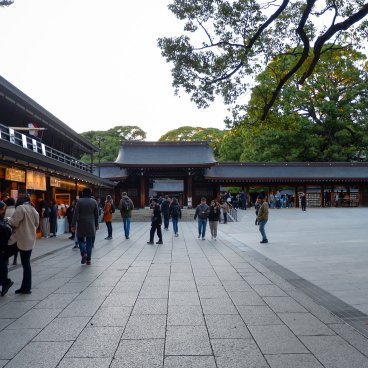 Meiji-jingu (Tokyo), enceinte du sanctuaire pendant Kiku Matsuri