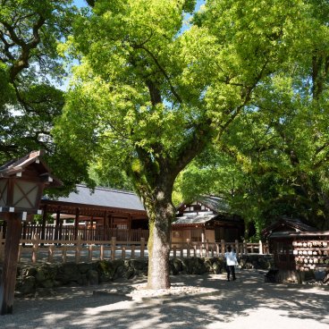 Atsuta-jingu (Nagoya), enceinte du sanctuaire et végétation
