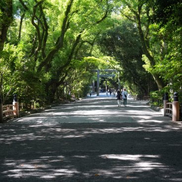 Atsuta-jingu (Nagoya), allée verdoyante du sanctuaire