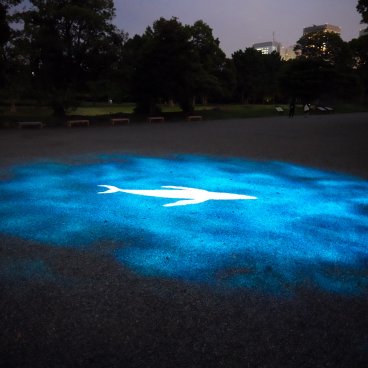 Hamarikyu Tsukimi Sanpo (Tokyo), projection de mapping vidéo sur le thème de la mer dans les allées du jardin