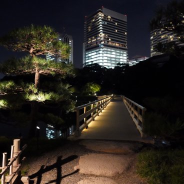 Hamarikyu Tsukimi Sanpo (Tokyo), vue nocturne sur le pont de l'étang Shioiri-no-ike et pin du Japon 2