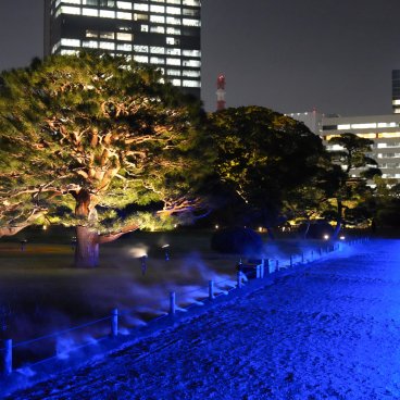 Hamarikyu Tsukimi Sanpo (Tokyo), allée du jardin avec jeu de lumières et de fumée