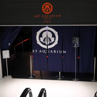 Art Aquarium Museum GINZA (Tokyo), entrée du musée dans le grand magasin Ginza Mitsukoshi