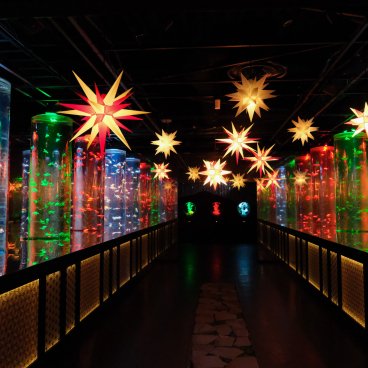 Art Aquarium Museum GINZA (Tokyo), espace d'exposition Goldfish corridor