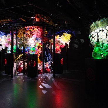 Art Aquarium Museum GINZA (Tokyo), espace d'exposition Oiran Flower Dance 