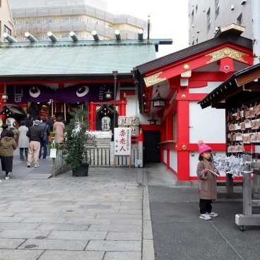 Asakusa Otori-jinja (Tokyo), enceinte du sanctuaire pour Hatsumode début janvier