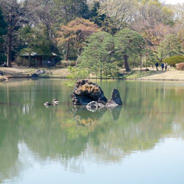 Rikugi-en (Tokyo), vue sur l'îlot d'Horai-jima du jardin japonais au début du printemps