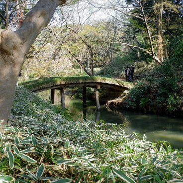 Rikugi-en (Tokyo), pont Yamakage-bashi du jardin japonais