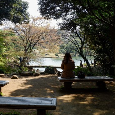 Rikugi-en (Tokyo), aire de repos et contemplation du jardin japonais depuis le site des ruines d'Ashibe-chaya