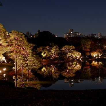 Illuminations automnales du Rikugi-en (Tokyo), vue nocturne du jardin japonais autour de l'étang principal 2
