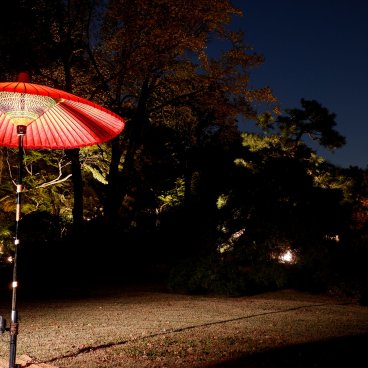 Illuminations automnales du Rikugi-en (Tokyo), vue sur un parasol rouge et le jardin en nocturne