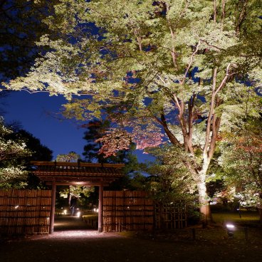 Illuminations automnales du Rikugi-en (Tokyo), porte intérieure dans l'enceinte du jardin