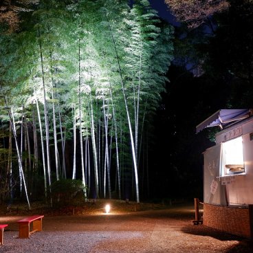 Illuminations automnales du Rikugi-en (Tokyo), vue nocturne sur la forêt de bambous et un stand Yatai