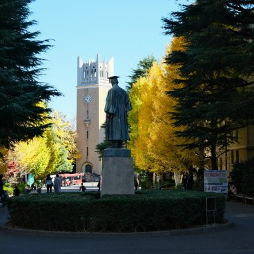 Université de Waseda (Tokyo), statue de Shigenobu Okuma et ginkgos à l'automne