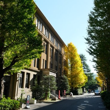 Université de Waseda (Tokyo), allée du site à l'automne