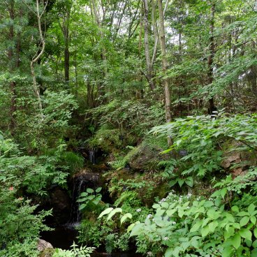 Jardin botanique Makino (Kochi), Cascade à l'entrée du jardin