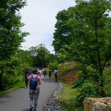 Jardin botanique Makino (Kochi), Allées fleuries du jardin au début de l'été