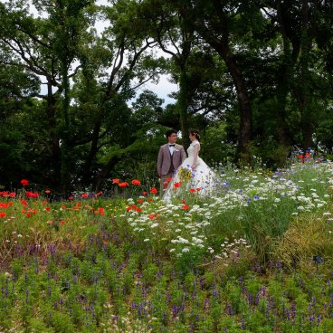 Jardin botanique Makino (Kochi), Jeunes mariés posant dans les allées fleuries du jardin 2