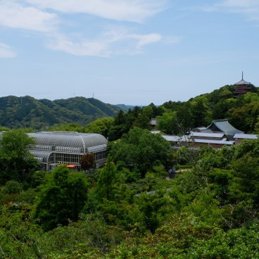 Jardin botanique Makino (Kochi), Vue sur la grande serre Conservatory et le temple Kyuchikurin-in