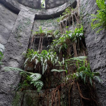 Jardin botanique Makino (Kochi), Fougères à l'entrée de la grande serre Conservatory