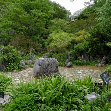 Jardin botanique Makino (Kochi), Jardin de rocailles