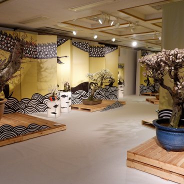 Nagahama Bonbaiten (lac Biwa), exposition de bonsaï de fleurs de prunier à la fin de l'hiver