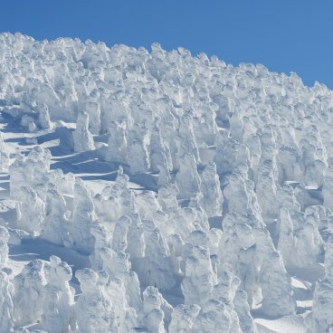 Zao Onsen, vue sur les montres de neige (Snow Monsters) ©préfecture de Yamagata