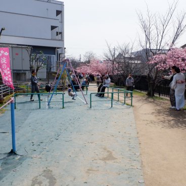 Yodo Suiro Waterway (Kyoto), aire de jeux pour enfants le long de la promenade bordée de cerisiers en fleurs