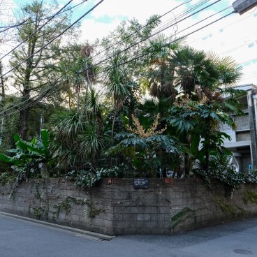 Musée Mémorial Taro Okamoto (Tokyo), Vue du musée depuis la rue