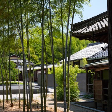 Kosho-ji (Nagoya), vue sur les bambous du jardin intérieur du temple