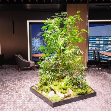 The Royal Park Hotel Iconic Tokyo Shiodome, salon privé Executive Lounge 2