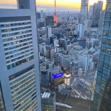The Royal Park Hotel Iconic Tokyo Shiodome, vue panoramique sur la tour de Tokyo depuis la chambre Executive Floor Suite King 2