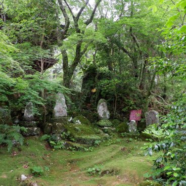 Chikurin-ji (Kochi), Tapis de mousse et stèles dans l'enceinte du temple