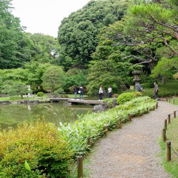 Kyu Furukawa Teien (Tokyo), promenade au sein du jardin japonais au bord de l'étang Shinji-ike 