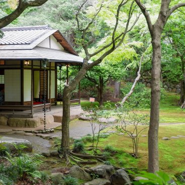 Kyu Furukawa Teien (Tokyo), vue sur le pavillon de thé du jardin japonais